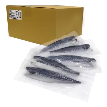 冷凍鹽漬白腹鯖魚排 15公斤/箱